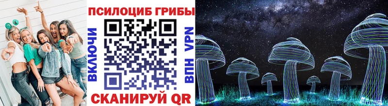 Галлюциногенные грибы Cubensis Таштагол