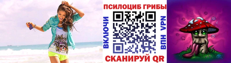 сколько стоит  Таштагол  Галлюциногенные грибы GOLDEN TEACHER 